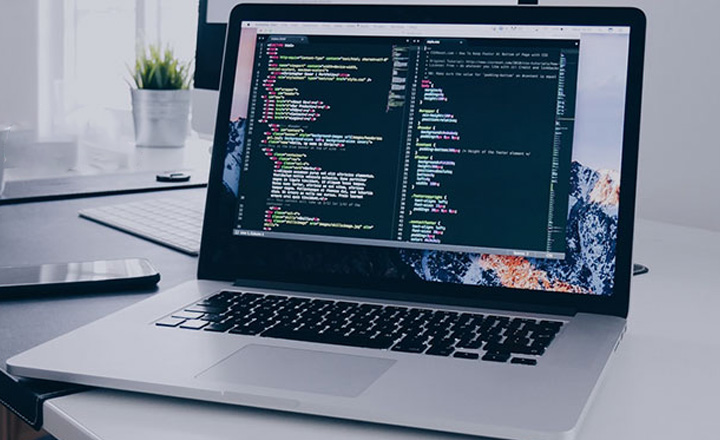 gestion de proyectos TI servicio developers